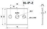 91-IP-2