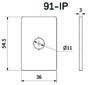 91-IP